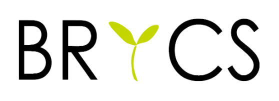 BRICSのロゴバナー